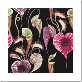 Exotic flowers, Carnivorous plants tropical print. Watercolor Pelican flower, Venus Flytrap Posters and Art